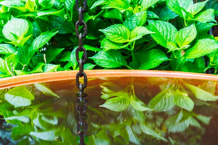 Cadena de lluvia con depósito de agua en jardín verde