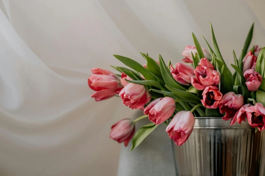 Tulipani in vaso su sfondo bianco