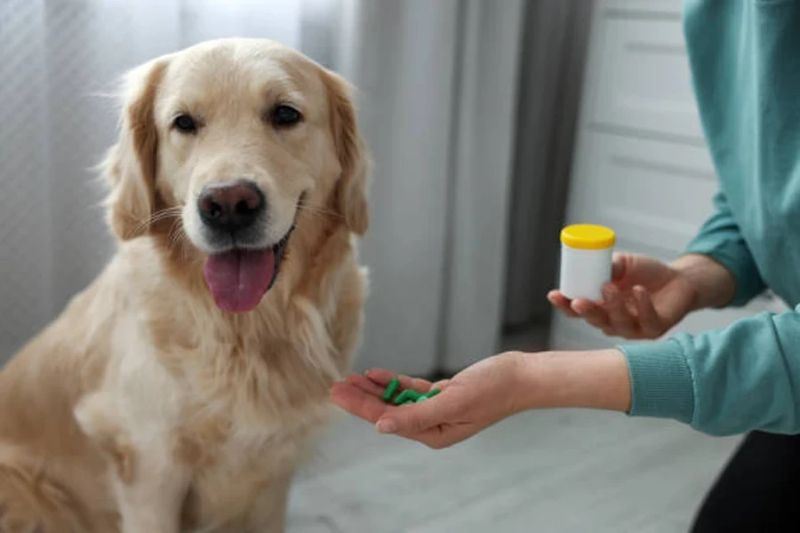 Mulher dando pílulas para cachorro fofo