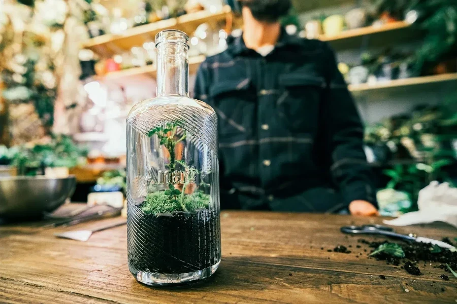 des plantes à l'intérieur d'une bouteille en verre recyclée