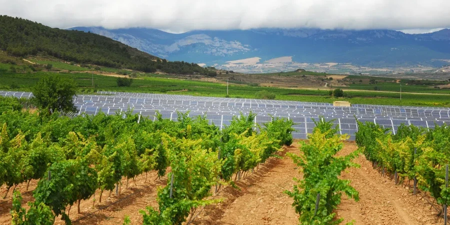 solar plant