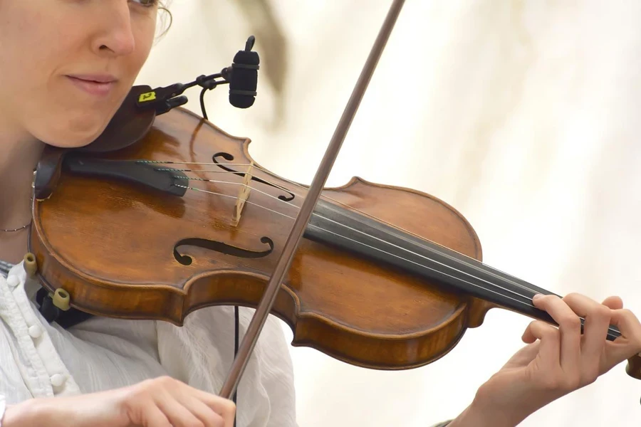 violinista, violino, mulher