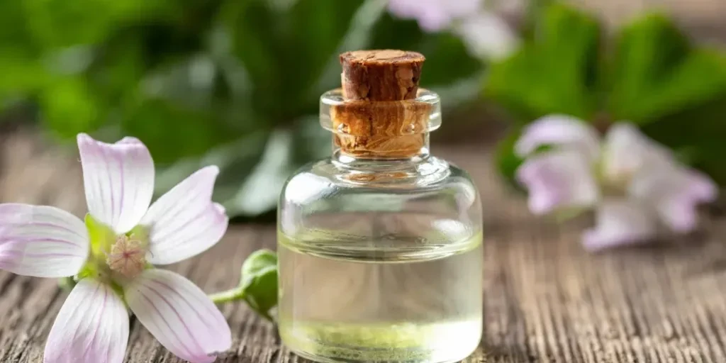 A bottle of common mallow essential oil with fresh malva neglecta plant on a table