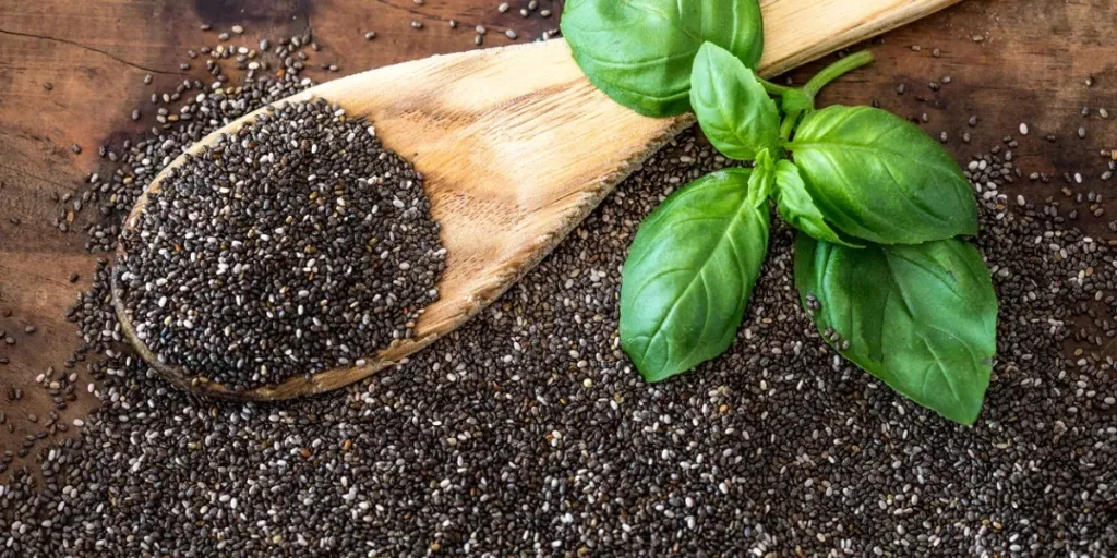 Sementes de chia em colher de pau e folha de manjericão em fundo de madeira