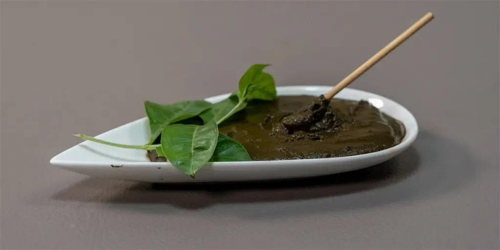 Pasta de Henna Natural para Cabelos Grisalhos com Folhas em Tigela de Cerâmica