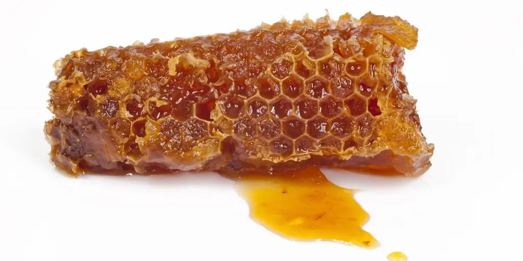 honeycomb, honey, bee