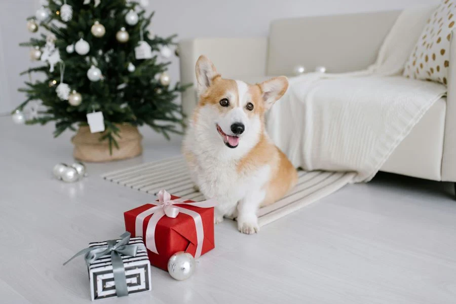 Un árbol de Navidad con un collar de árbol con un perro en primer plano.