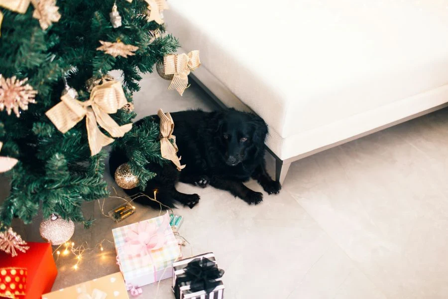 Un perro tumbado bajo un árbol de Navidad con lazos.