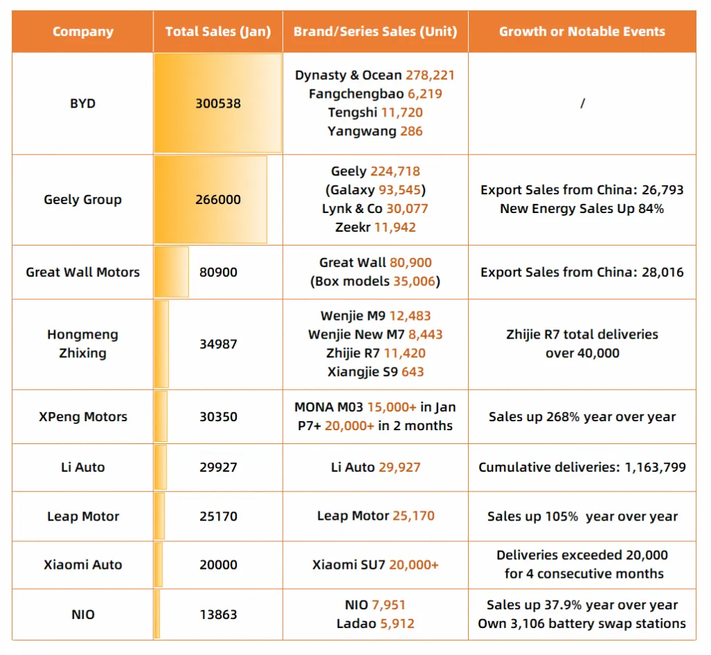 CHinese EV giants release January 2025 sales figures