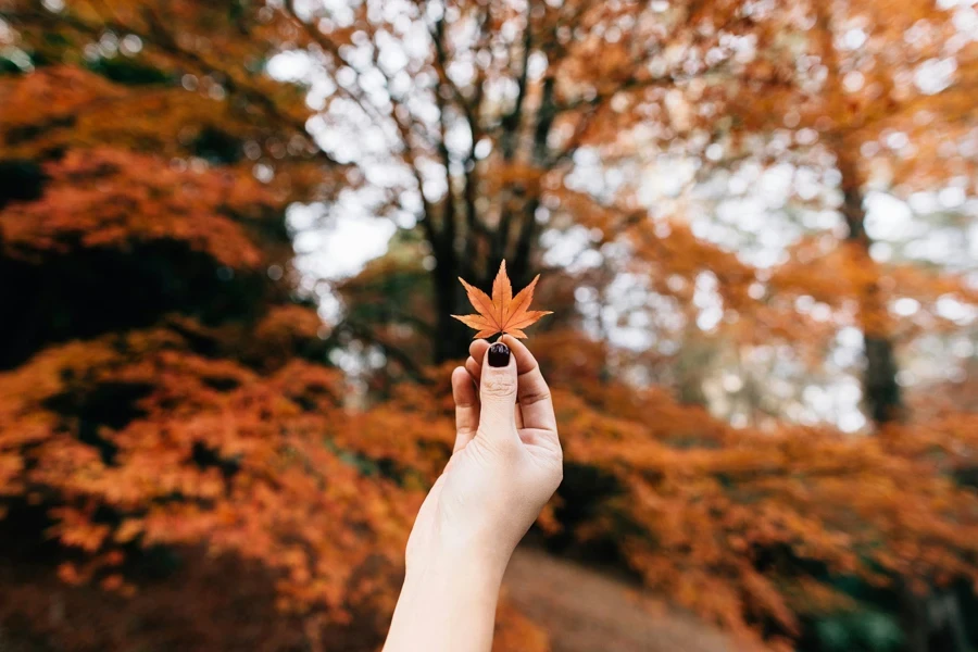 Fille avec du vernis à ongles montrant une feuille en automne