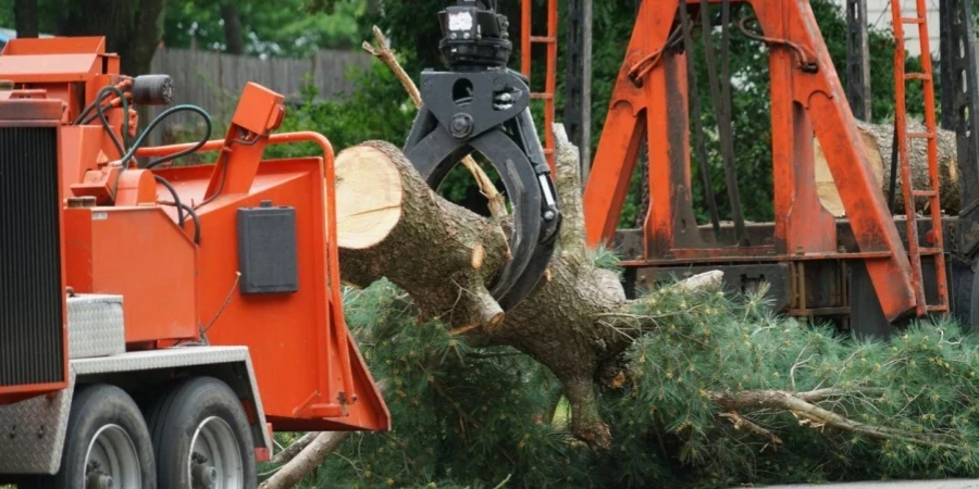 Retiran tronco de árbol con grúa en zona residencial