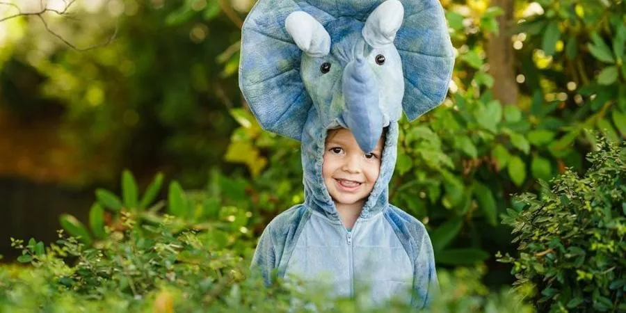 Boy wearing elephant onesie costume