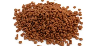 Example of animal feed (dog kibble)