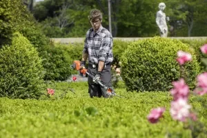 top lawn and garden packaging trends you need to know