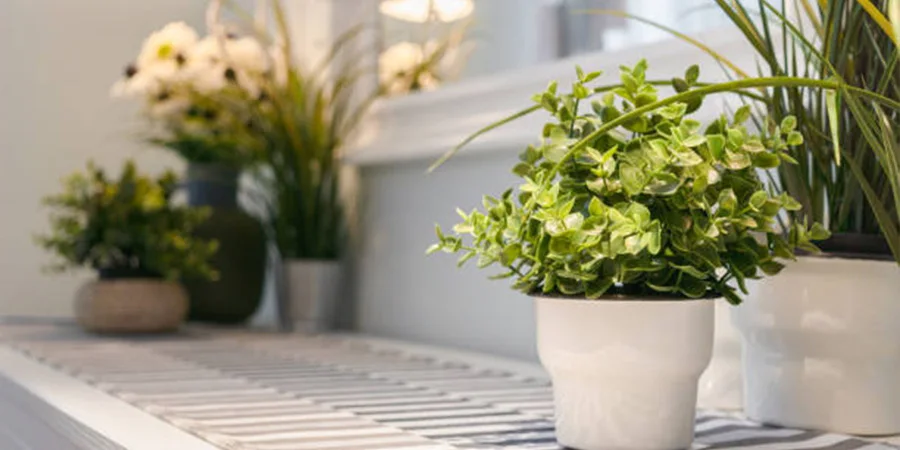 White countertop in home with artificial plants in pots