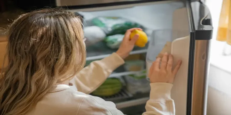 the complete guide to choosing car fridges