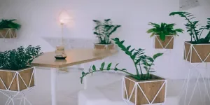 how to choose the best indoor grow lights