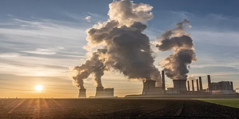 what is carbon disclosure and can it slow global warming