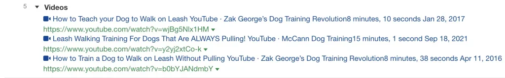SERP overview video carousel featured snippet