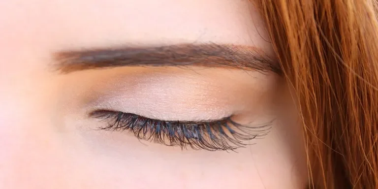 lashes and brows