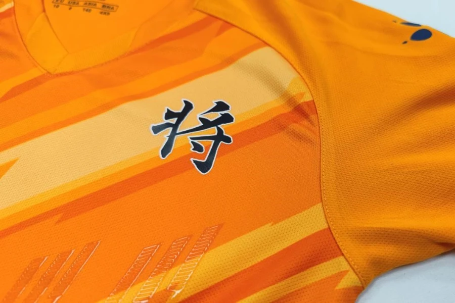 A sports jersey with personalized print