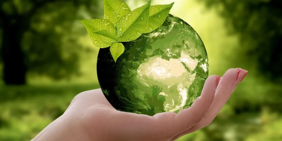 Sustainability is the buzzword in the logistics industry now