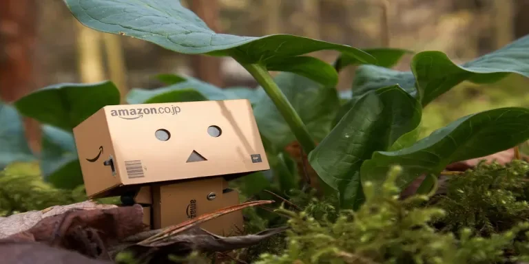 the pros and cons of Amazon piggybacking