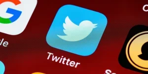 Twitter logo on smartphone screen