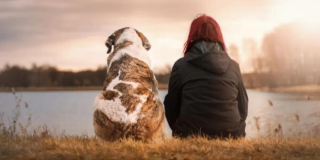 Woman and dog watch sunset