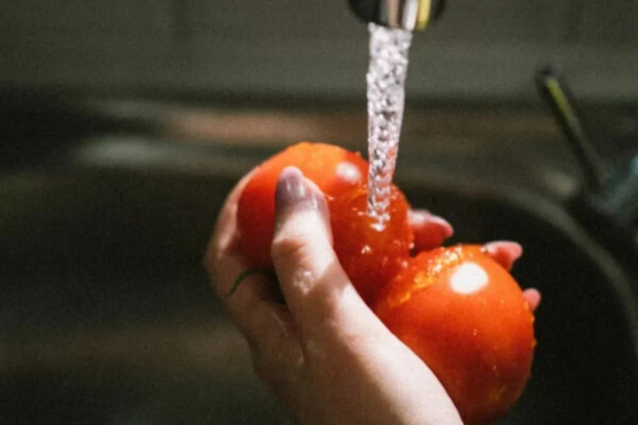 Frau wäscht Tomaten mit der Hand unter Leitungswasser