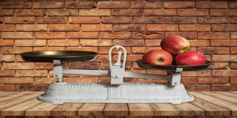 7 timbangan rumah tangga yang perlu Anda ketahui