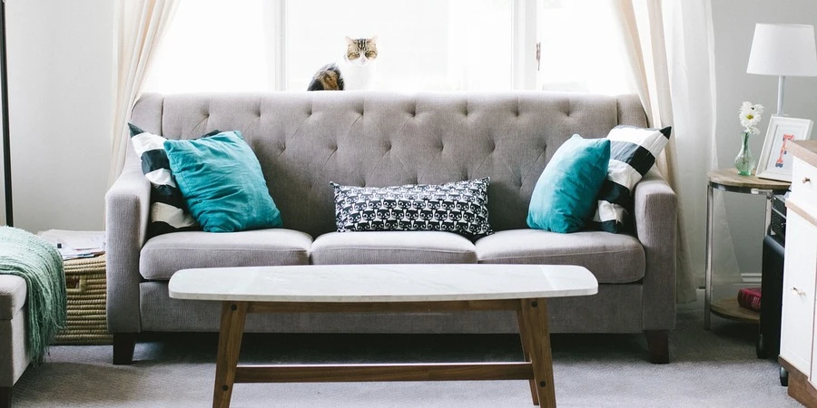 A modern living room showcasing a sofa with pillows