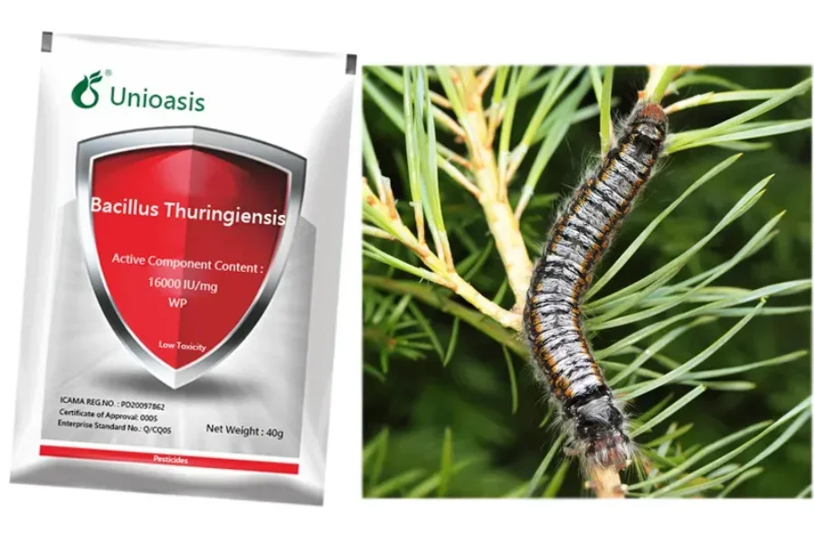 Biological control agent next to the insect it targets