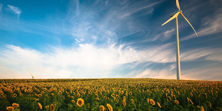 Sunflowers and a windmill during daytime