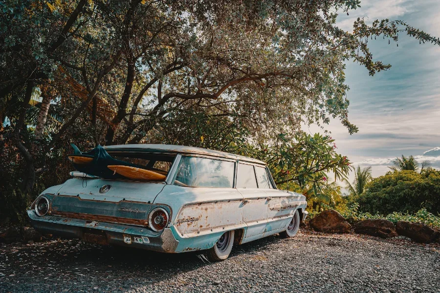 A vehicle sitting idle for months