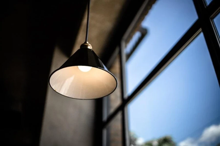 Black and white indoor pendant light