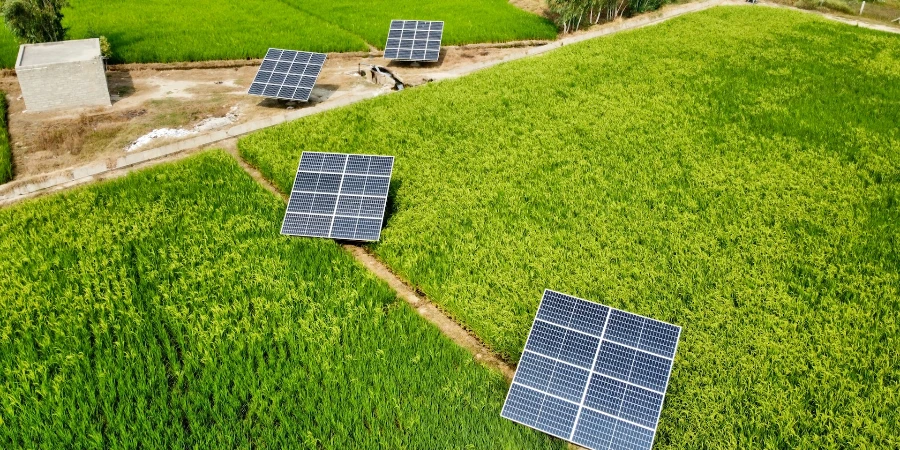 Solar panels on the farm
