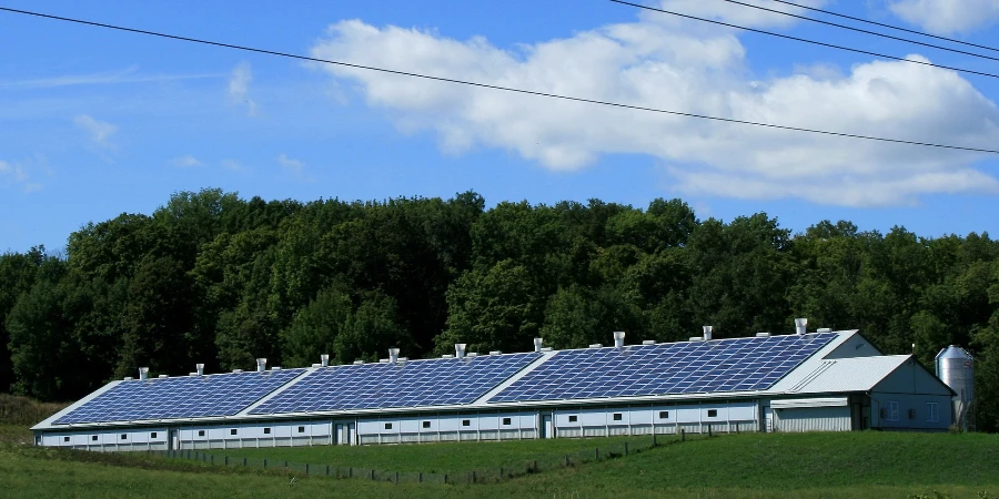Solar panels with trees in the background