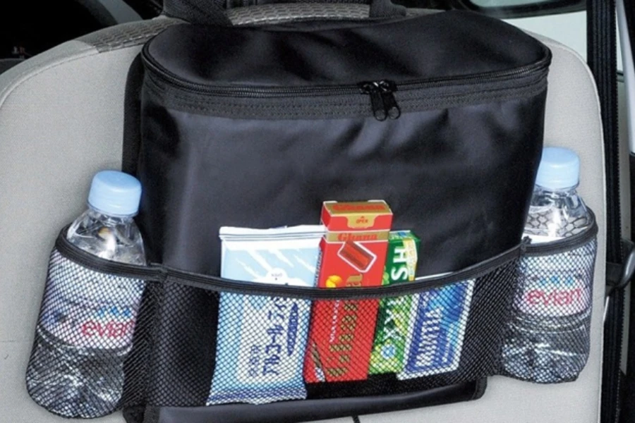 Some essentials packed in a seatback organizer