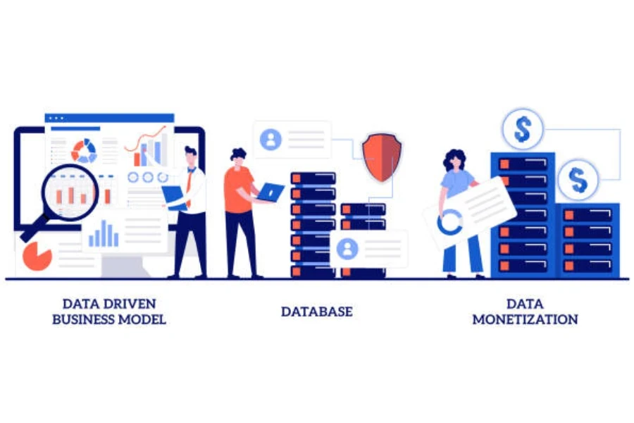 Datengesteuertes Geschäftsmodell, Datenbank, Datenmonetarisierungsstrategie