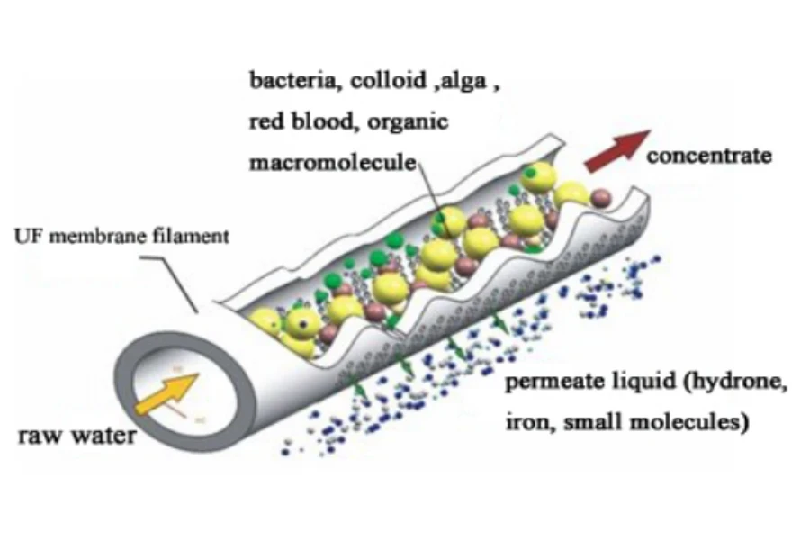 Come funziona il sistema biologico (tecnologia di ultrafiltrazione).