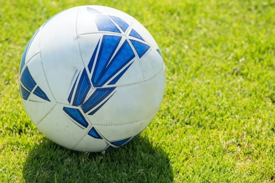 Balón de fútbol blanco y azul en un campo de fútbol.