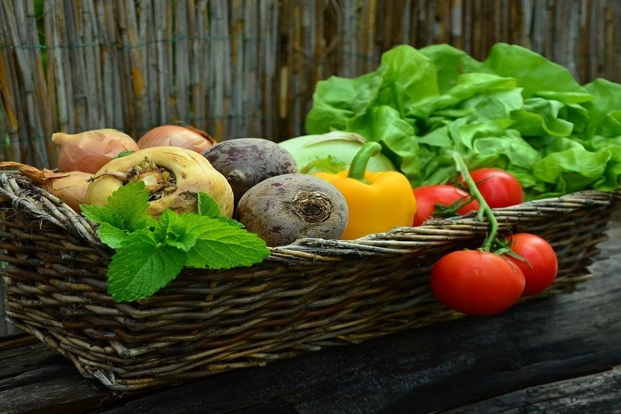 A basket of fresh vegetables