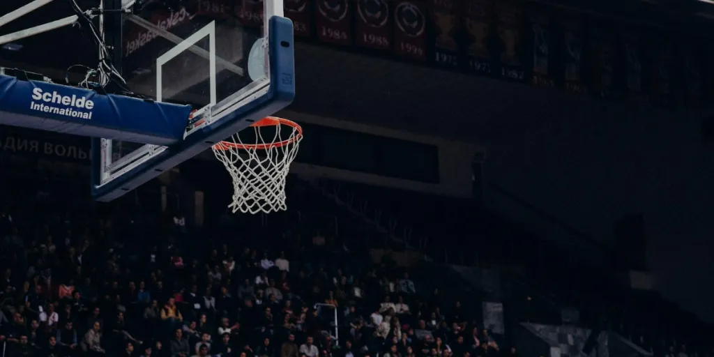 A professional-grade basketball hoop