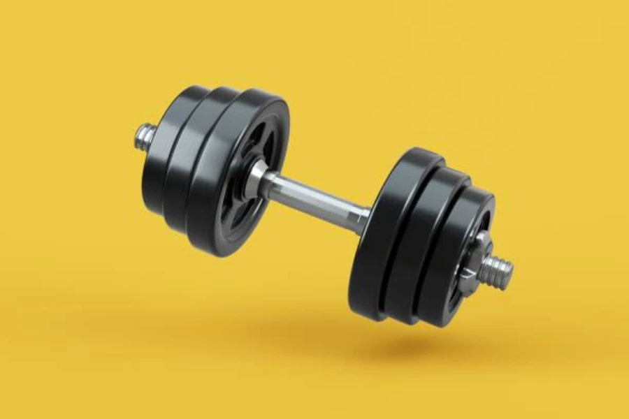 Adjustable dumbbell with black weights on steel rod