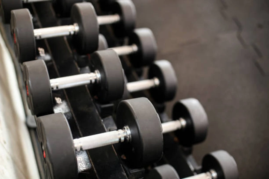 Bench lined with different weights of steel dumbbells