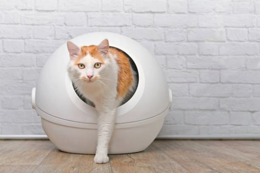 cat stepping out of spherical litter tray