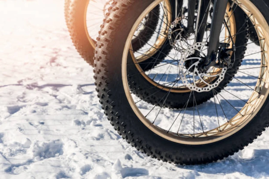Close-up of fat tandem bike tires in the snow