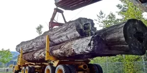 forestry machinery