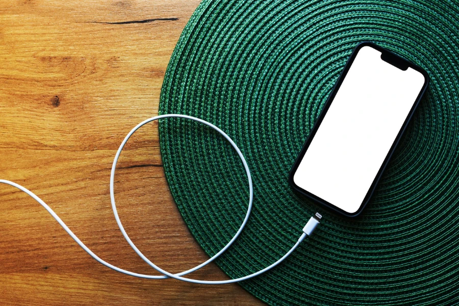 iphone dan kabel petir di atas tikar hijau